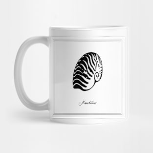 Nautilus. Black and white seashell illustration. Mug